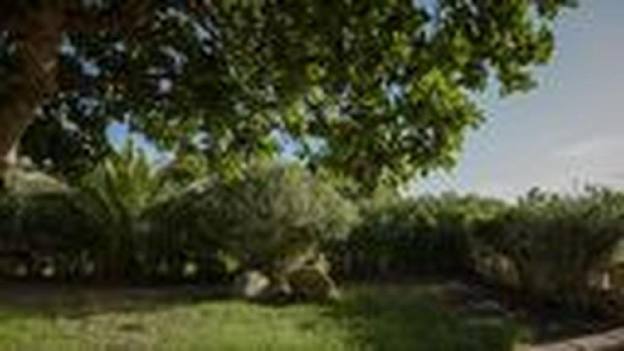 Welcomely - Villa Adele Costa Rei Bagian luar foto